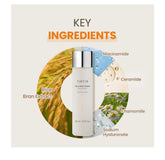 Milk Skin Rice Toner Frezze_Luxe