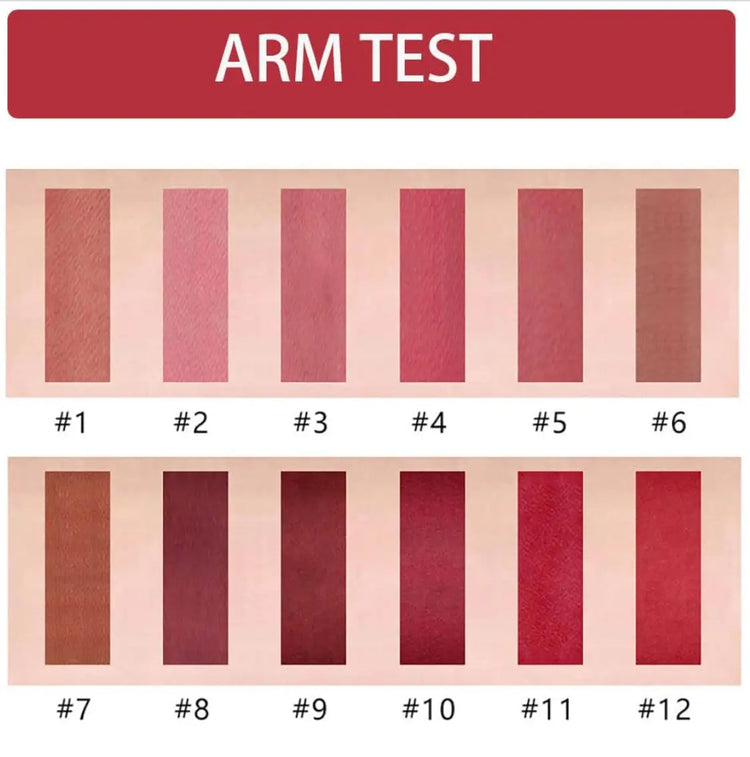 12 Lipstick Set Collection Frezze_Luxe