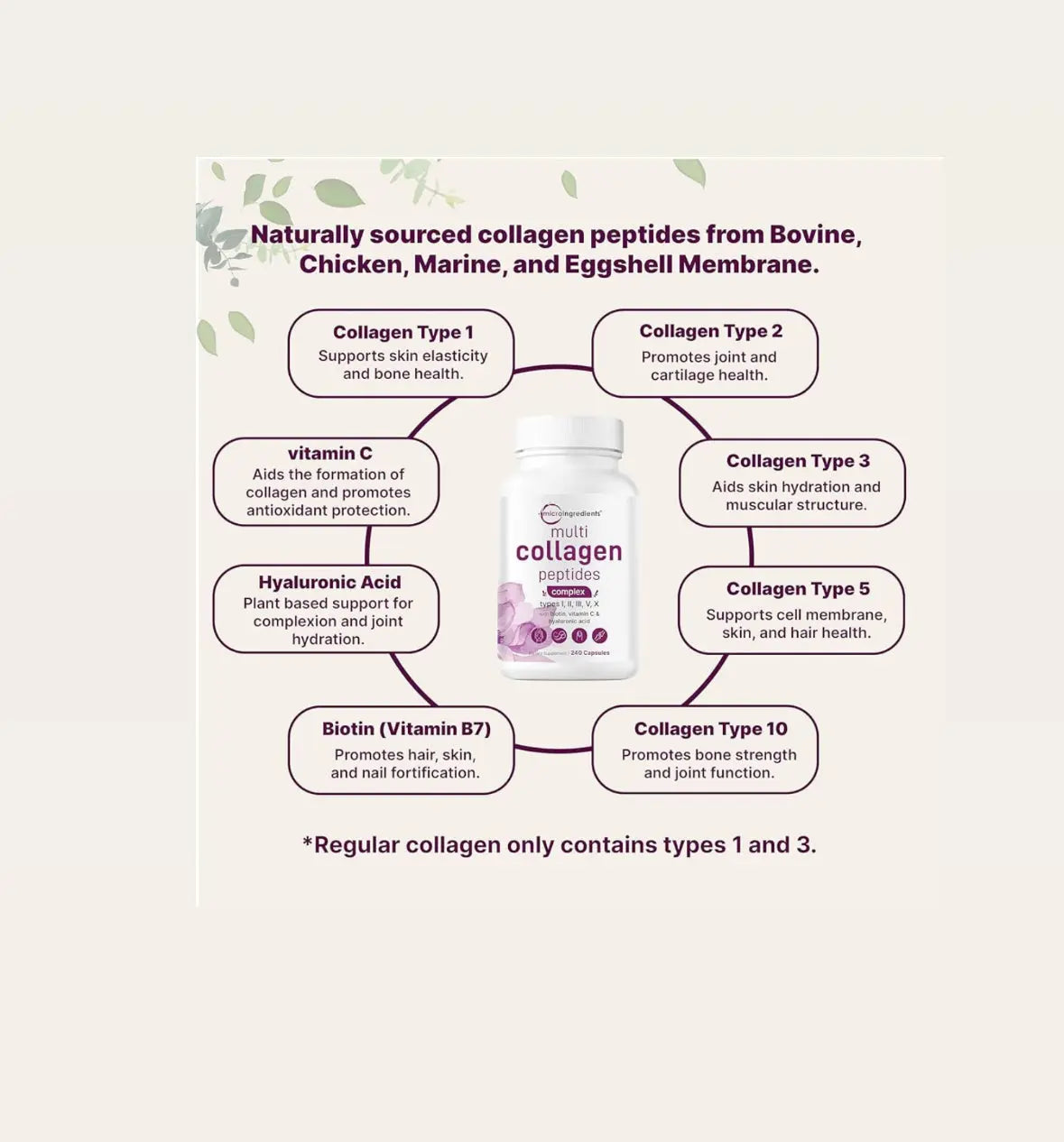 Micro Ingredients Multi Collagen Pills for Women & Men 240 Capsules | Type I II III V X - Hydrolyzed Collagen Peptides with Biotin Hyaluronic Acid & Vitamin C | Hair Skin Nail & Joint Support Frezze_Luxe