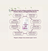 Micro Ingredients Multi Collagen Pills for Women & Men 240 Capsules | Type I II III V X - Hydrolyzed Collagen Peptides with Biotin Hyaluronic Acid & Vitamin C | Hair Skin Nail & Joint Support Frezze_Luxe