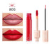 Pudaier Dual Lipstick and Lip Gloss Liquid Set Frezze_Luxe