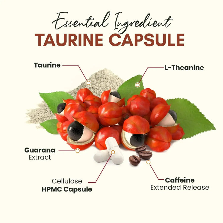 Caffeine Pills Alternative to an Energy Drink Energy Gel Energy Gummies 60 Pills Frezze_Luxe